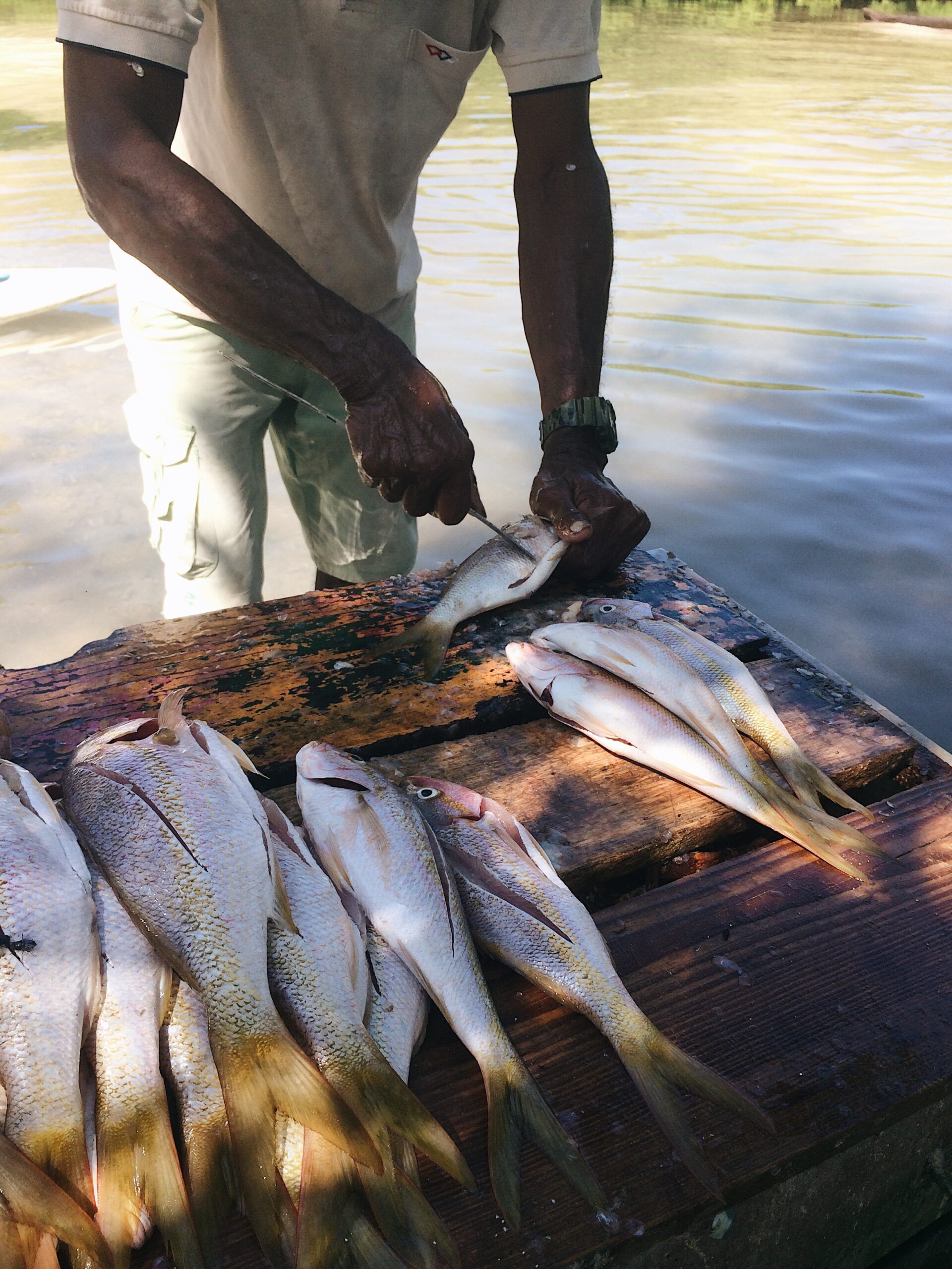 Processed with VSCO with a6 preset